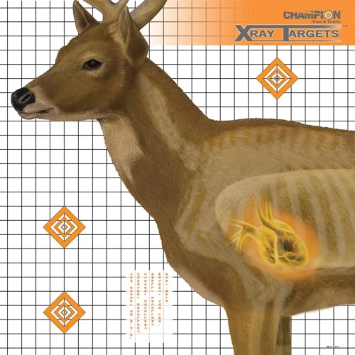 X-Ray Targets Hjort 6pk