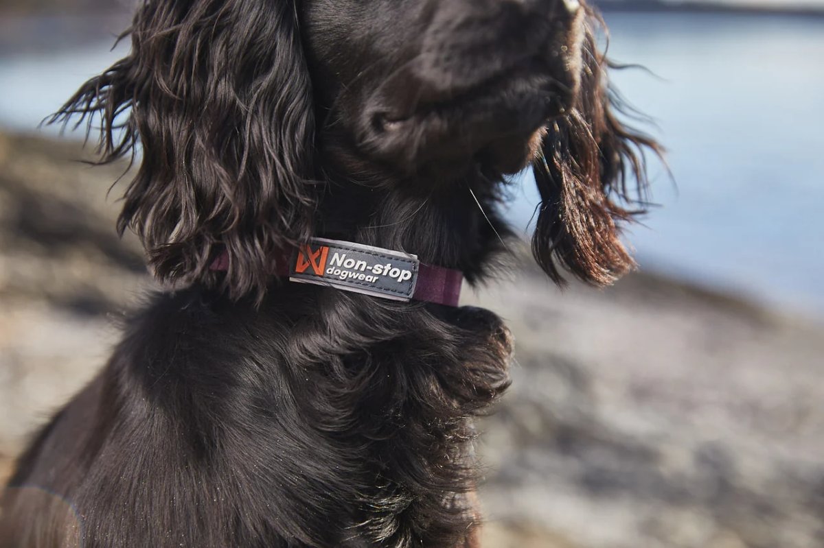 Non-stop Tumble collar - Image 6