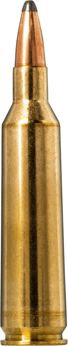 Norma Blyspiss 22-250 Rem 53gr / 3,4g - Image 3